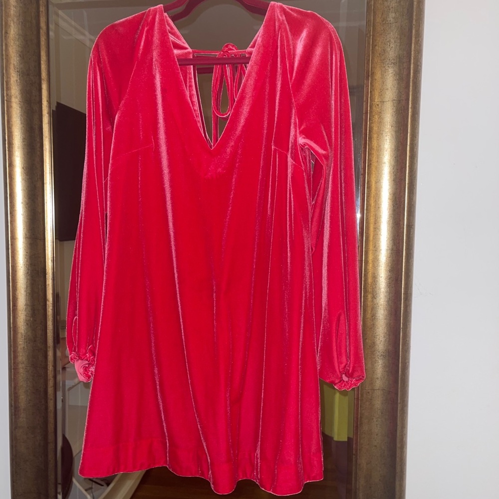 Free People Pink Velvet Dress